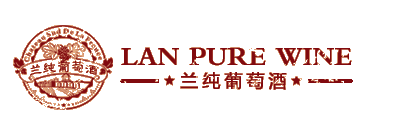 广州某某某信息技术有限公司